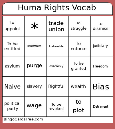 Huma Rights Vocab Bingo Card