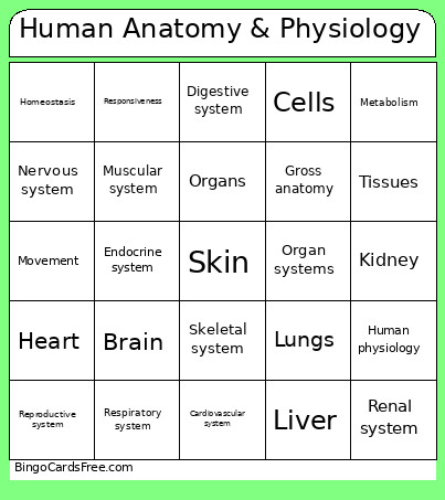 Human Anatomy & Physiology Bingo Card