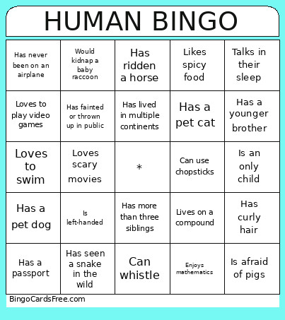 HUMAN Bingo Card