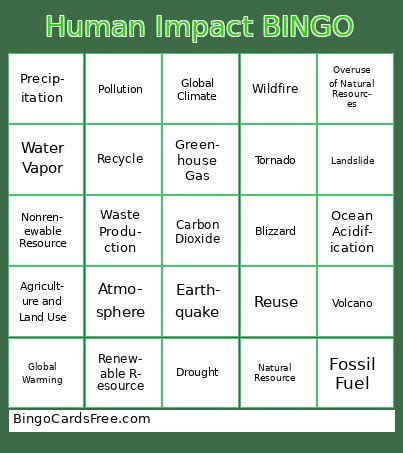 Human Impact and Climate Change BINGO