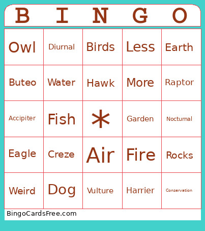 Hwi25 Bingo Card
