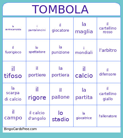 I Mondiali Bingo Card