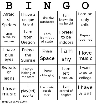 Ice Breaker Bingo Card