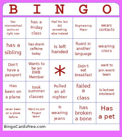 Ice Breaker Bingo Card 2