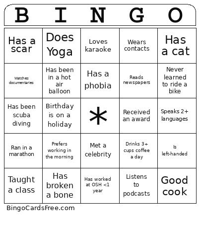 Ice Breaker Bingo Card 3