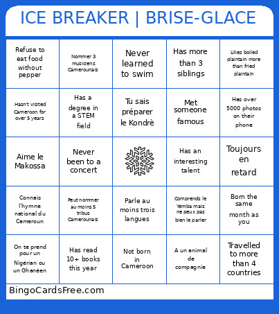 ICE BREAKER | BRISE-GLACE Bingo Card