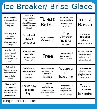 Ice Breaker/ Brise-Glace Bingo Card