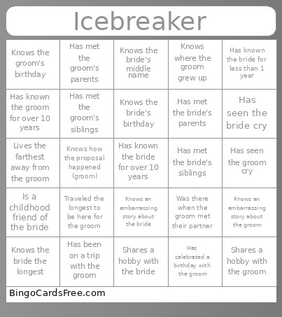 Icebreaker Bingo Card