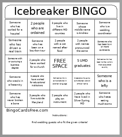 Icebreaker Bingo Card