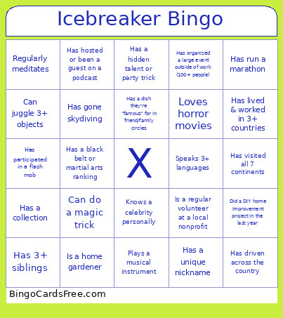 Icebreaker Bingo Card