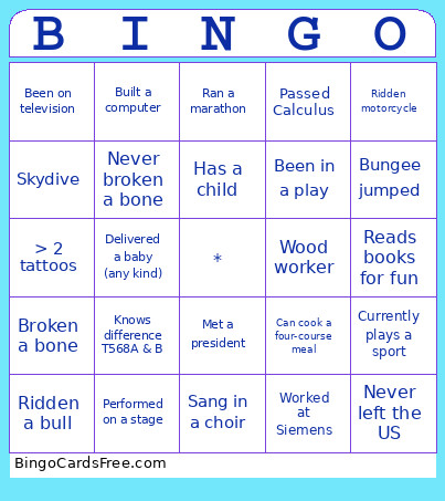 Icebreaker Bingo Card