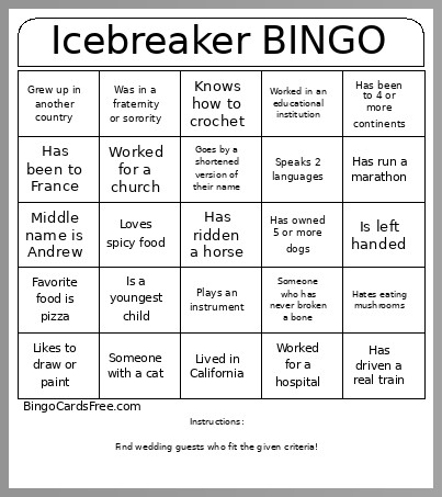Icebreaker Bingo Card
