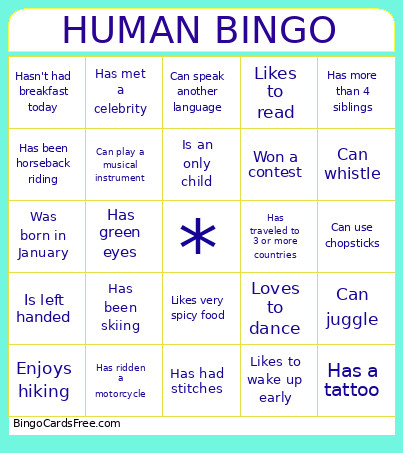 Icebreaker Bingo Card
