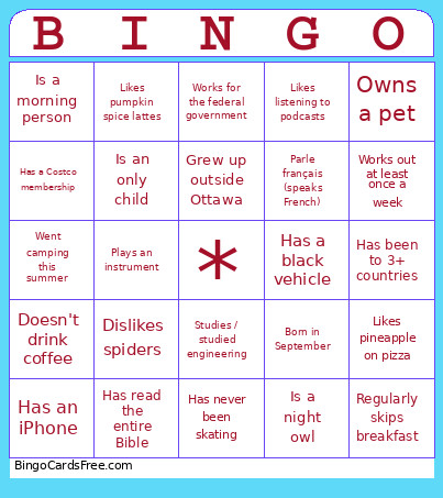 Icebreaker Bingo Card