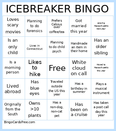 Icebreaker Bingo Card