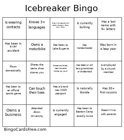 Icebreaker Hart 2025 Bingo Card