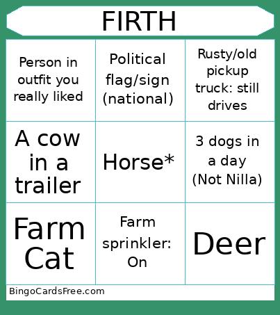 Idaho Bingo Card