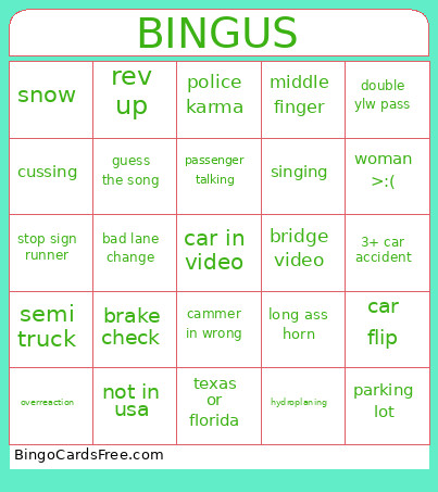 Idiots In Cars Bingo Card