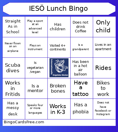 IESÖ Conferance Ice Breaker Bingo Card