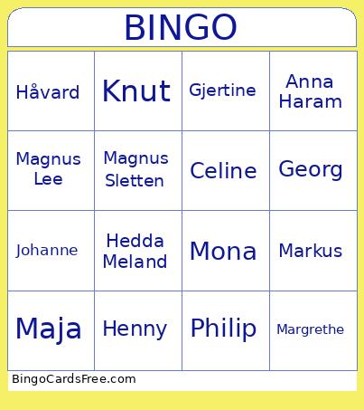 Imitasjons Bingo Card