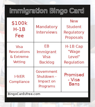 Immigration Bingo Card