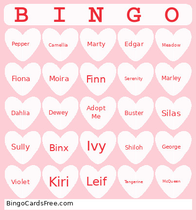 IMON Bingo Card
