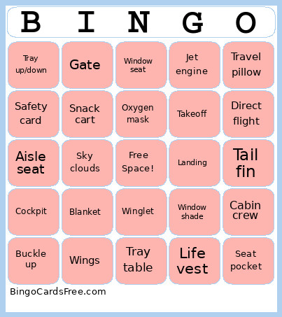 In Flight Bingo Card