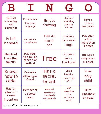 In2STEM Icebreaker Bingo
