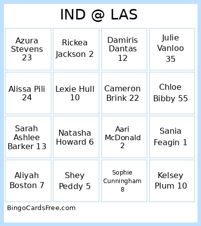 INDI X Sparks Bingo Card