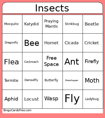 Insects Bingo Card