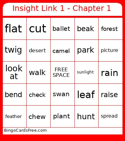Insight Link 1 - Chapter 1 Bingo Card