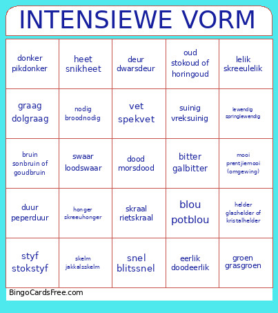 INTENSIEWE VORM Bingo Card