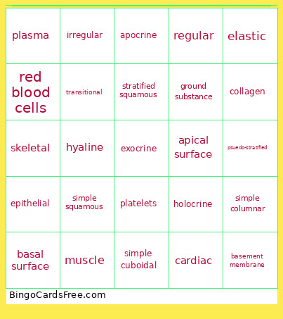 Intro To A&P And Histology Review Bingo Card