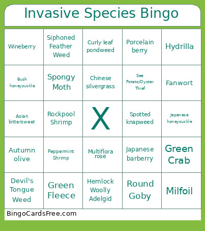Invasive Species Bingo Card