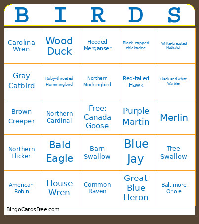 Iroquois Birding Bingo Card