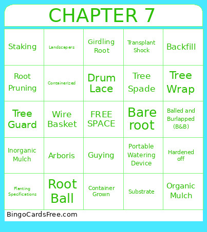 ISA Chapter 7 Key Terms Bingo Card