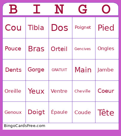 J'Ai Mal Bingo Card
