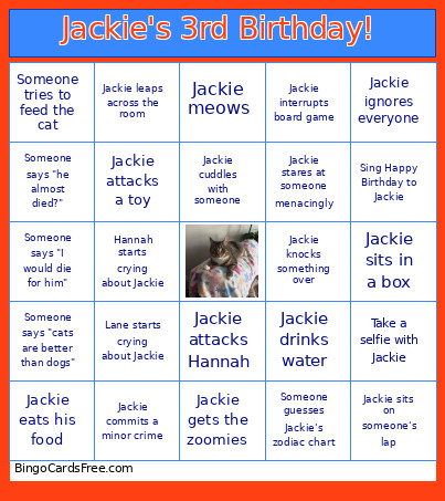 Jackie's 3rd Birthday! Bingo Card
