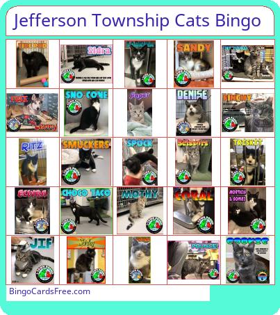 Jtown cats Bingo Cards Free Pdf Printable Game, Title: Jefferson Township Cats Bingo