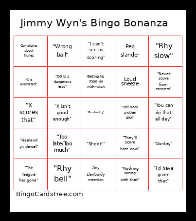 Jimmy Wyn's Bonanza Bingo Card