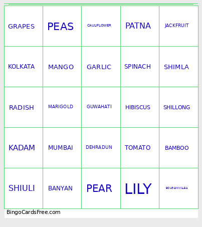 JR Mixed Bingo Card