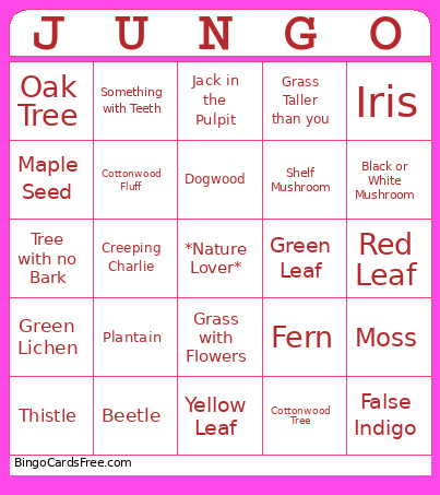 JuneGo Bingo Card
