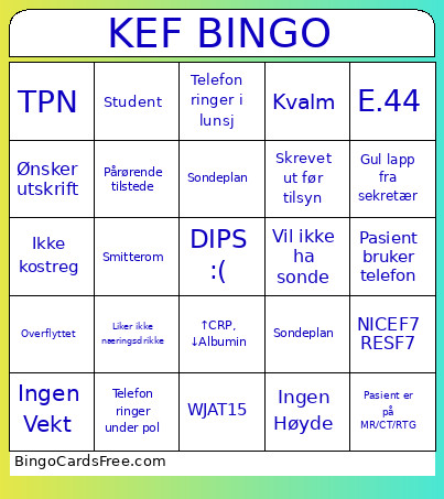 KEF 2 Bingo Card