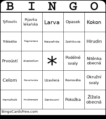 Kroužkovci Bingo Card