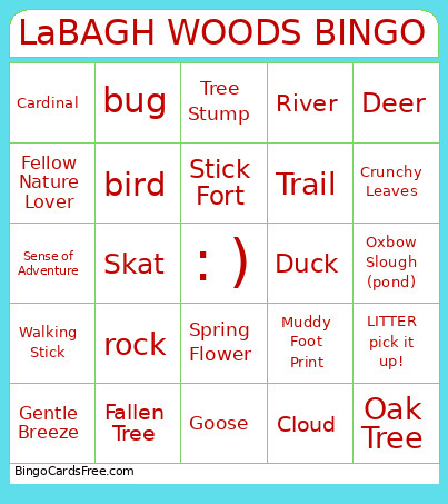 LaBAGH WOODS Bingo Card