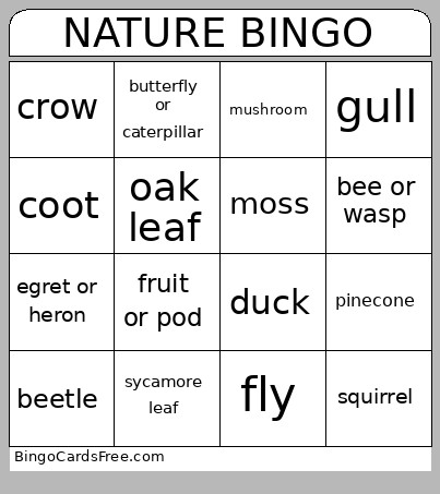 Lake Merritt Nature Bingo Card