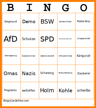 Landtagswahlen Bingo Card