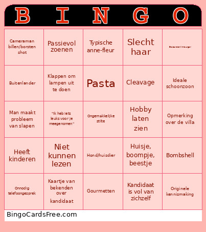 Lang Leve De Liefde Bingo Card
