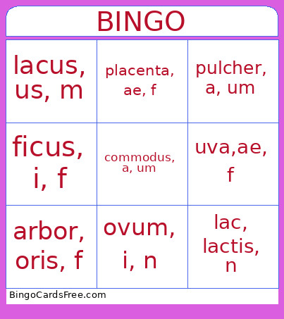 Latin Bingo Card