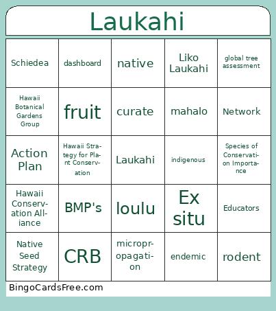 Laukahi Bingo Cards Free Pdf Printable Game, Title: Laukahi